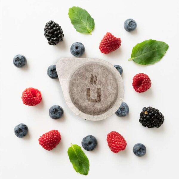 Napar z owoców leśnych (20 szt.) Napar z owoców leśnych (20 szt.)